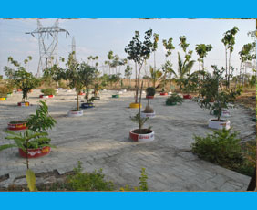 Male Female slide img